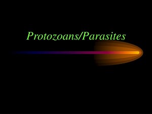 Protozoans/Parasites - SlideServe