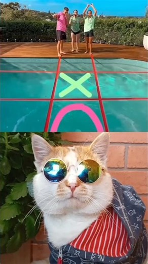 ❌⭕ Коли вболіваєш за хлопців, а перемагають дівчата #реакція #гра #веселевідео