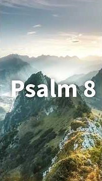 Psalm 8 |Daily Bible Reading - Day 8