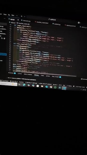 Exploring Success in Programming and IT Careers