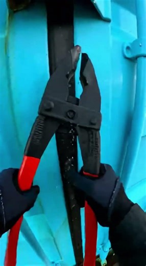 A Neon Blue Container Washed Ashore… Look What Was Inside 😱