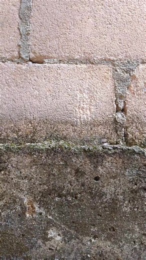 Cara Menambah Pengikut di Media Sosial