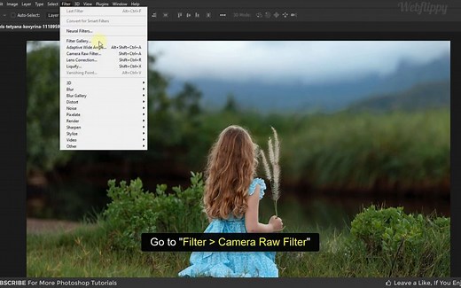 如何在 Photoshop 中导入/安装 XMP 预设
