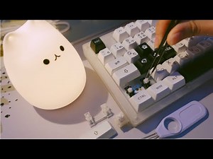 Everglide Panda Stabilizer | Sound Test | Holee & Band aid Mod | Cheap Stabs ♡ | chill mod music |