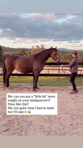 Dr Nadine Lindblom on Instagram: "**Effort** used to be something I had to ask for. Now, I have a herd of overachievers 😄 When I trained with negative reinforcement, my horses would do the bare minimum. I sounded like a squirrel with how much I was clicking and encouraging them to just try a little harder- it always felt like an uphill battle. Now it’s the opposite 😍 My horses are full of motivation and energy, and my job is simply to guide that enthusiasm in the right direction (and often, as