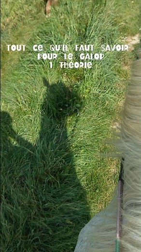 Ce qu'il faut savoir pour le galop 1 théorie (partie 1) ✍🏼🐎 #équitation #cheval #galop1