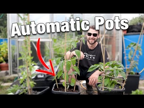 Overview of the Autopot 4pot System - Installation & Set Up | Easy Allotment Self-Watering Planter