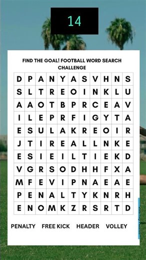 FIND THE GOAL! FOOTBALL WORD SEARCH