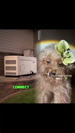 Top 5 Best Home Standby Generators of 2025