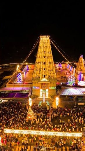 Sri Mahadeshwara Swamy ದರ್ಶನ 🌺 | Male Mahadeshwara Hills | Powerful Devotional Video |