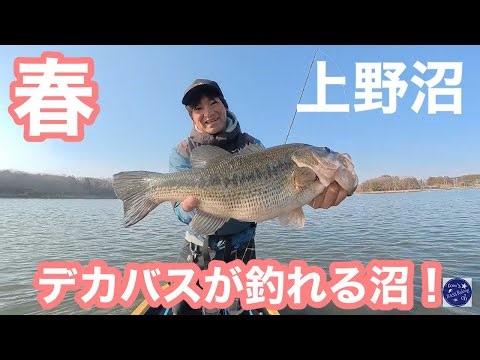 もう一つの霞水系！？デカバスが釣れる沼で楽しんできた！