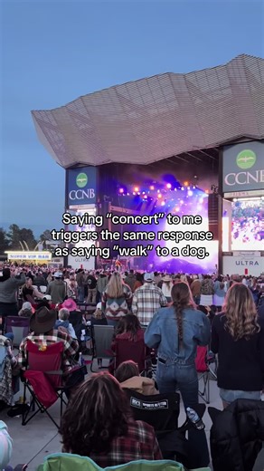 Why I Love Concert Season