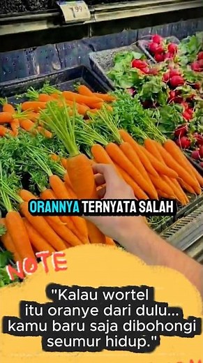 Kenapa Wortel Jadi Oranye? Ternyata Begini Sejarahnya! #faktaunik #facts