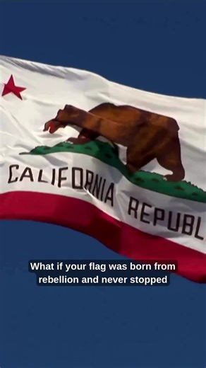 🐻 California’s flag isn’t just a bear — it’s a warning. The California Republic flag traces back to the 1846 Bear Flag Revolt, and today that grizzly lone star still symbolize strength, independence, and state pride. #CaliforniaFlag #BearFlag #StateFlags #FlagHistory #California