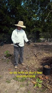 TerraTonic Biochar: Organic Compost Accelerator with Beneficial Microbes for Faster Decomposition. Biochar Soil Amendment for Lawn & Garden. 4-QT.