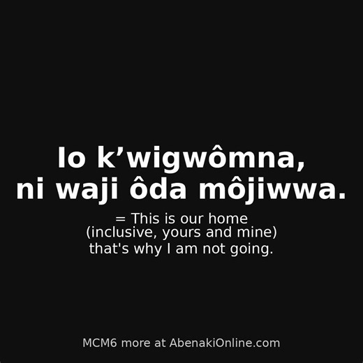 Kimzowi Awighiganis Module 6: Negative Partial Events
