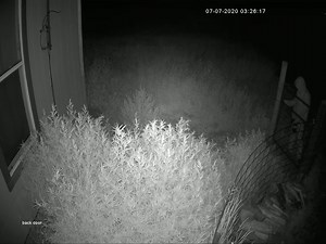 DETECTIVES DESK!!! Captain Paris is looking for YOUR help in an investigation he is conducting. If you can help identify the individual in this video, hit us up on messenger or give us a call at 406-256-2969 (20-712960). OUT! | Yellowstone County Sheriff's Office