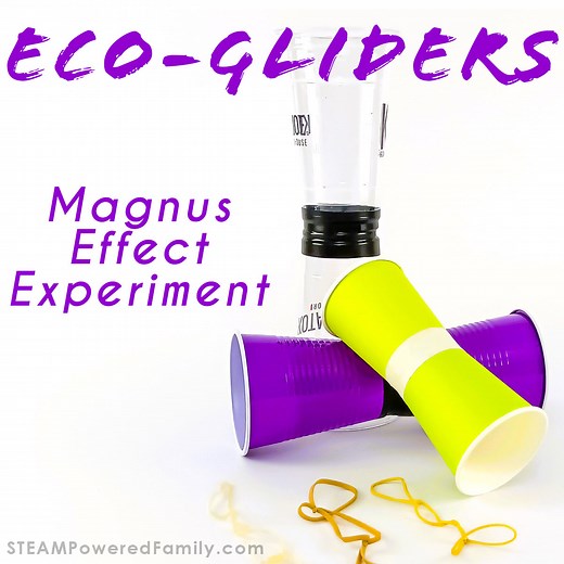 Magnus Effect Project - Eco-Gliders
