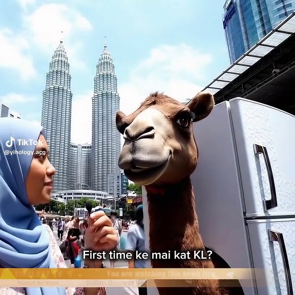 Fun Street Interviews with a Brainrot Twist