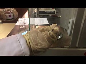 Chapter 3 Experiment 1A