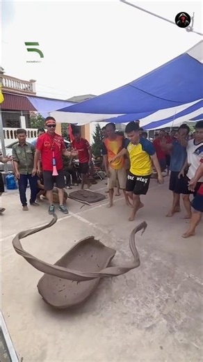 Vietnam’s Mud Cannon Game is Wild 🔥