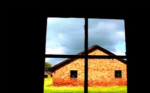 国外大神Matty Brown的作品合集