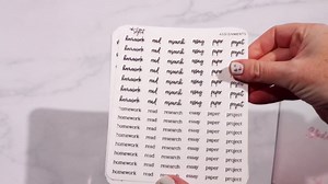 Student Planner Stickers - Clear Medium Pink Foil - School - Study - Icons - Tests - Homework - Over 600 Stickers - Folder Included - Minimal - Cherry Soda