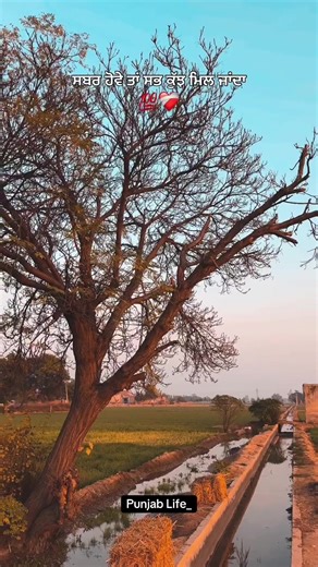 Punjab ❤️ #punjablife