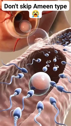 This is how fertilization process occurs inside the female reproductive system 😳😱 #fertilization #zygote #anatomy #pregnant #foryoupage