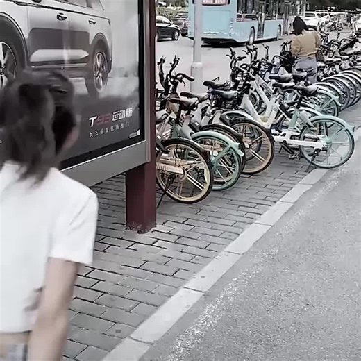 Carro de Compras 2 en 1 Plegable y con Ruedas