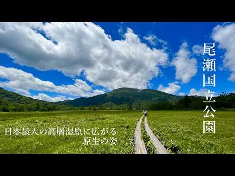 【尾瀬】【4K】2,000m級の山々に囲まれる湿原 尾瀬国立公園 | 尾瀬ヶ原 | 山の鼻小屋 | 竜宮小屋 | 尾瀬小屋 | アカハライモリ | 尾瀬 | 至仏山 | 燧ヶ岳 |