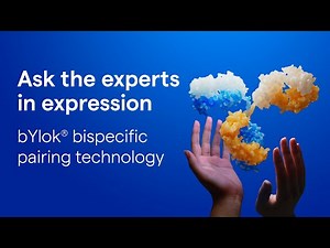 Ask the Experts in Expression - bYlok® Bispecific Pairing Technology