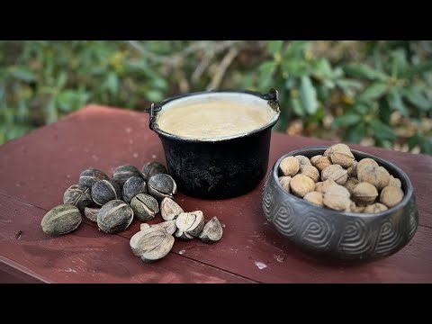 What is Hickory Milk?