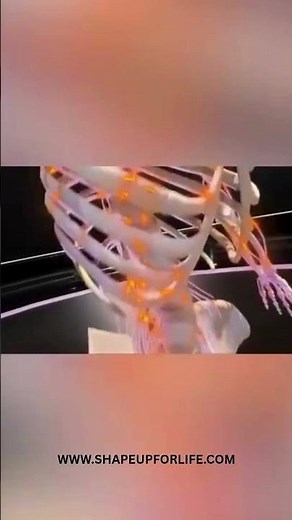 Neural Rewiring: The Super-Patch Technological Revolution