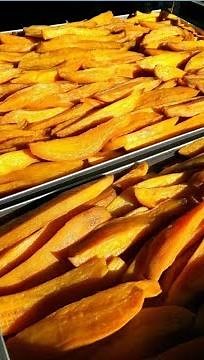 How To Dehydrate Fruits and Vegetables by industrial way