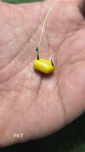Tips and Tricks on How to Put Bait on a Hook