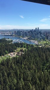 Vancouver Harbour Air Landing 😍 Video: Anna | Be Vancouver