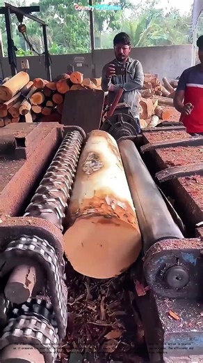 Stripping Logs to Perfection: How Machinery Transforms Wood