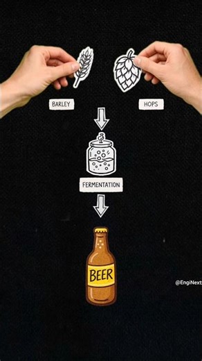 How Different Alcohol Is Made 🍺🍷