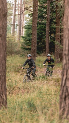 Reid Bikes International on Instagram: "One Ride. One Tree. 500,000+ times over. We've officially planted half a million trees in partnership with @veritreeofficial 🌲🎉 #reidbikes #veritree #500ktrees #planting"