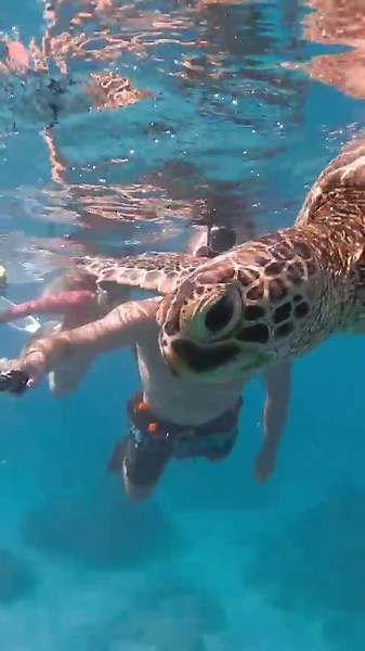 I tested GoPro's new macro lens