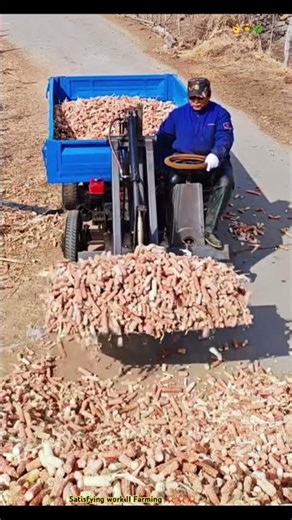 Homemade Loader Truck Of Farmer : Efficiency Loading Corn