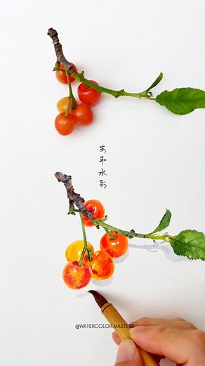 Watercolor painting by artist Anhe (Douyin) — a delicate study of cherry-like fruits rendered with luminous transparency and subtle gradients. The artist captures the freshness of the leaves, the vibrant reds and yellows of the fruit, and the gentle play of light, showcasing refined brush control and natural elegance. Artist: Anhe (Douyin) #watercolorpainting #botanicalart #realismart #fineart #watercolorartist #artprocess #douyinartist | Watercolor Masters