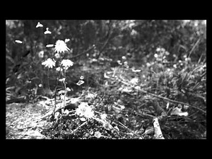 Building a Black and White Photography Workflow: A Course Overview