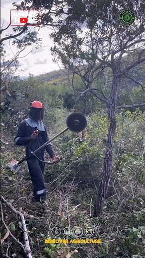 Most Powerful Brushcutter Machine