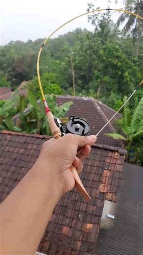 Satu Set Joran Super Lentur #joransuperlentur #joranwadersuperlentur