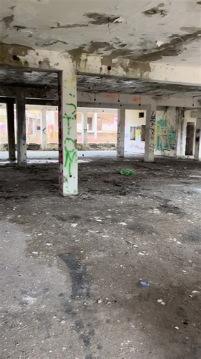 Wsparcie szkolenia HRD i certyfikacji NASDU - link do zbiórki w bio #workingdog #basenjimix