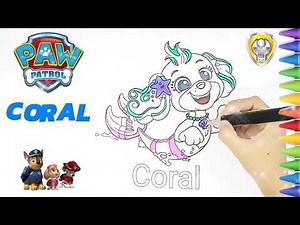 Simple Coloring for Toddlers: Coral Merpups - Paw Patrol Coloring