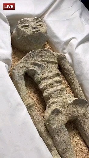 5.8K views · 107 reactions | THIS JUST IN : the Mexican Government’s...