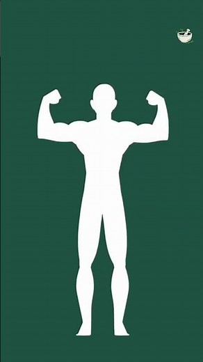 6 Benefits of Stinging Nettle!